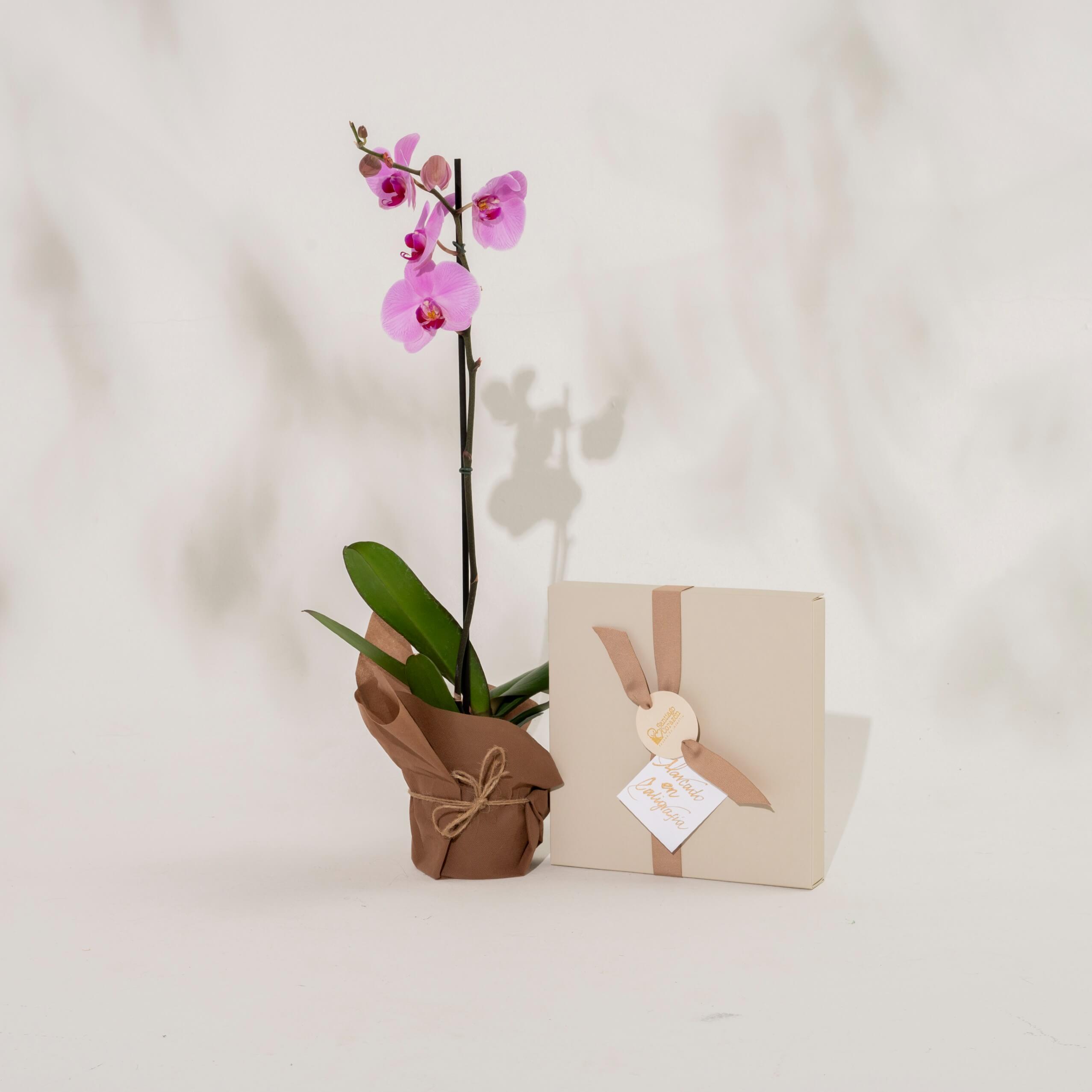 Bono de Pésame en caja con pétalos 2025 con Orquídea