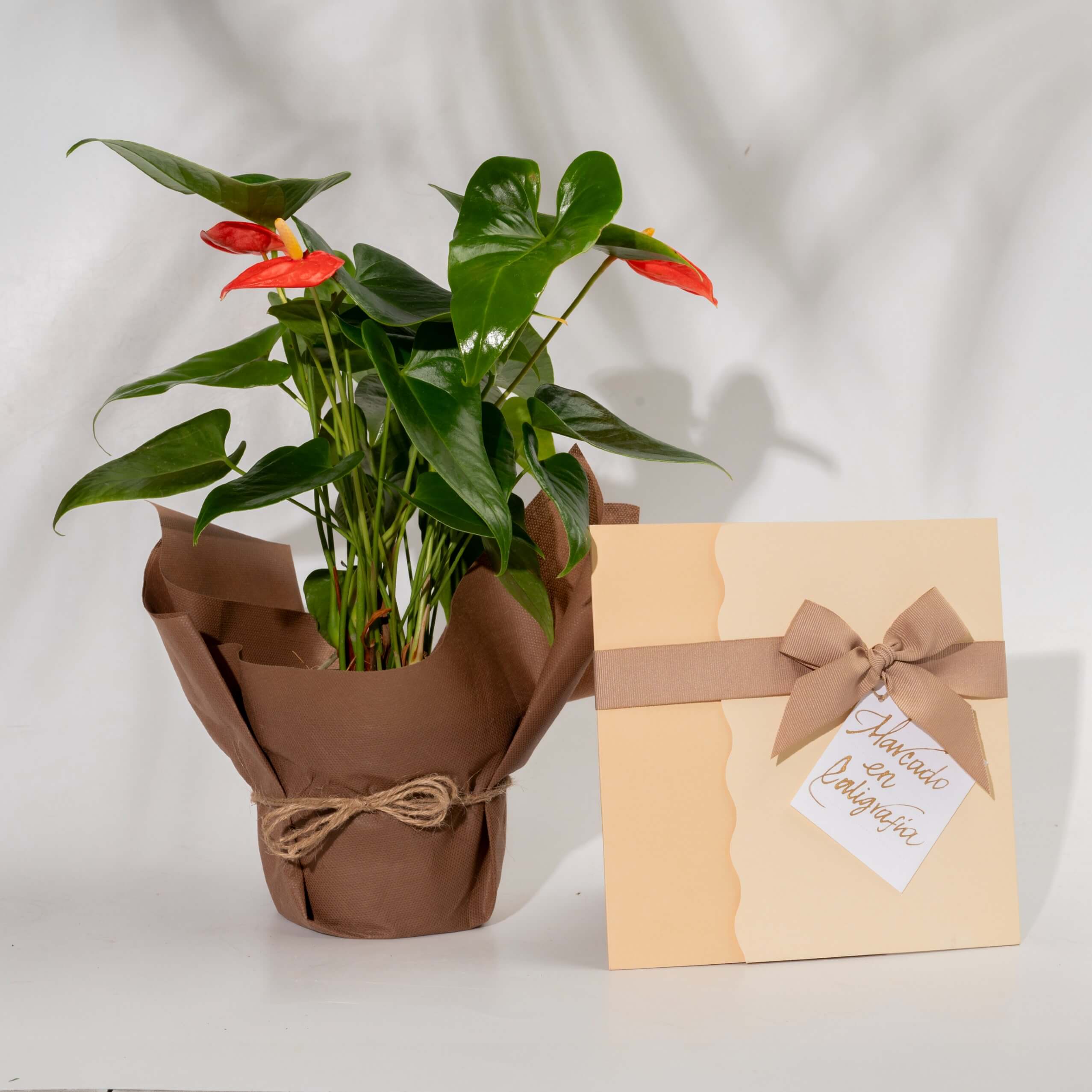 Bono de Pésame en sobre 2025 con Anturio