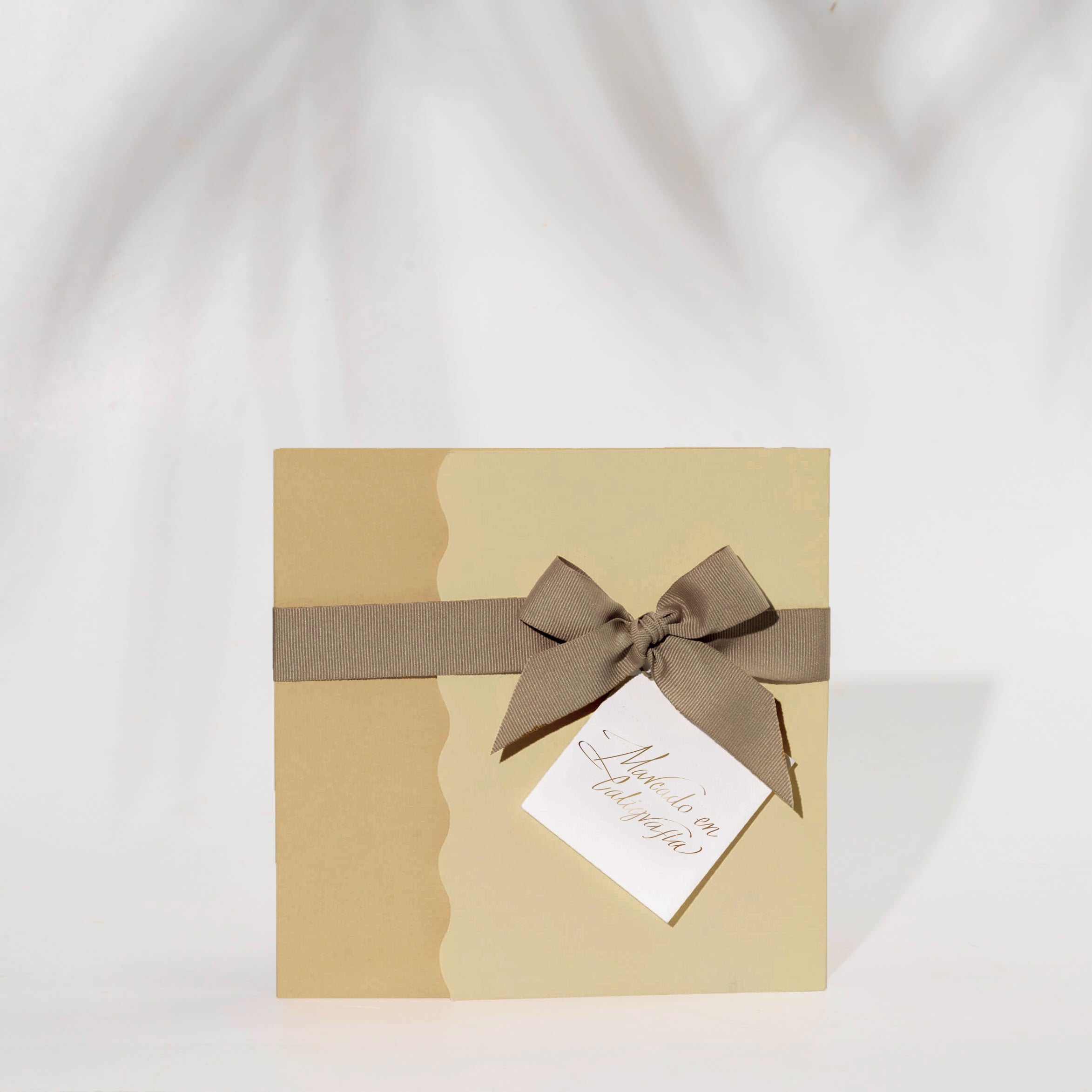 Bono de Pésame en Sobre 2025