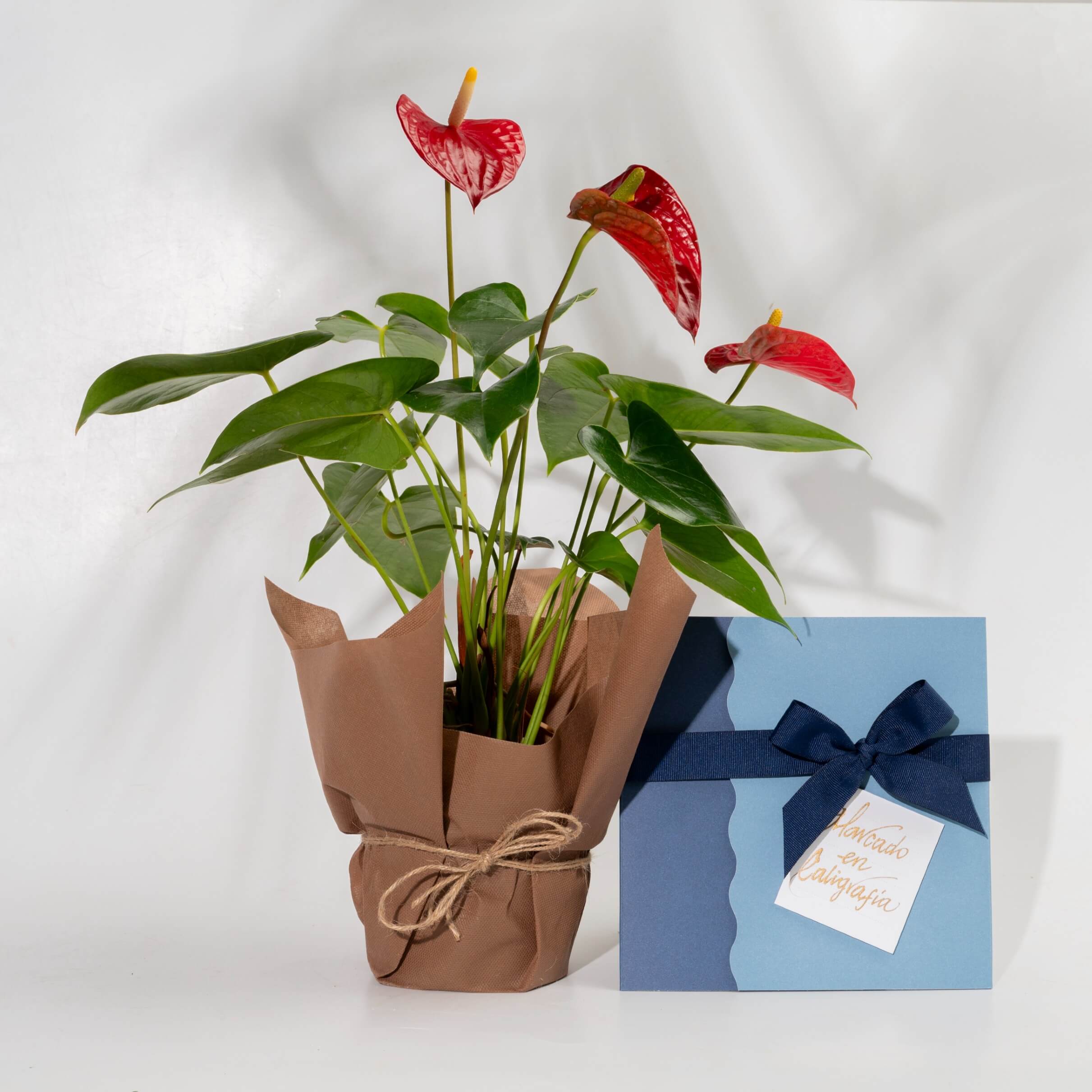 Bono de Pésame en sobre 2025 con Anturio