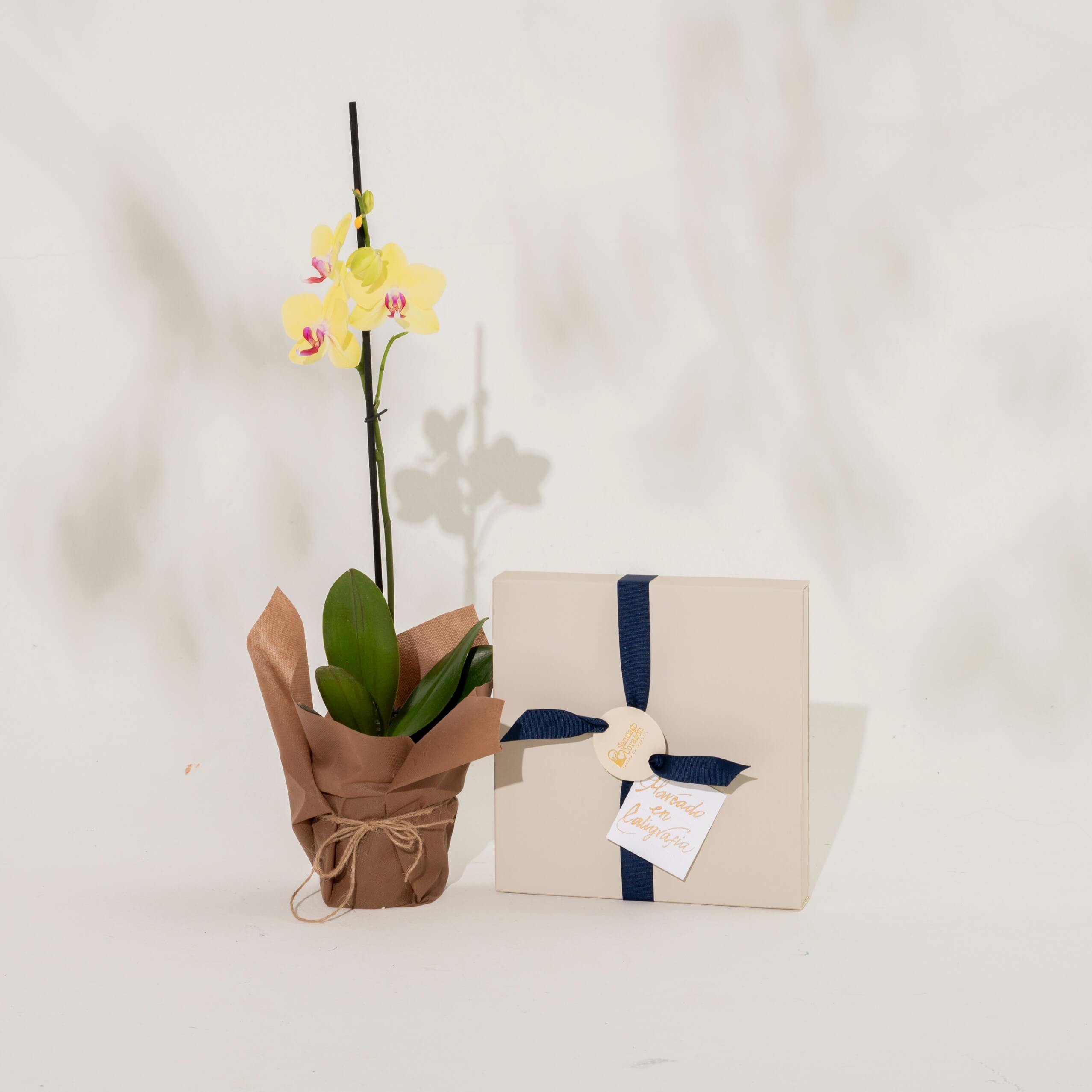 Bono de Pésame en caja con pétalos 2025 con Orquídea