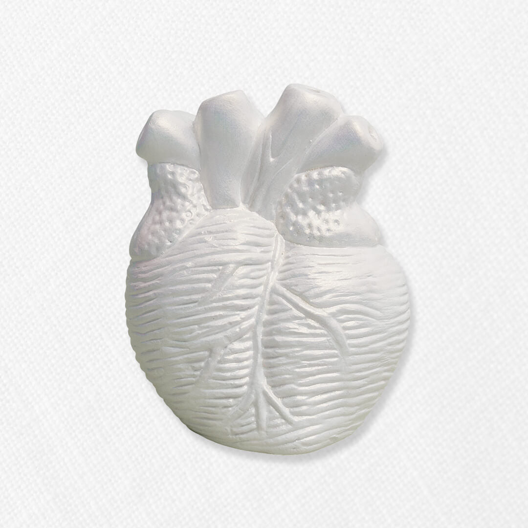 Bono de Pésame en bolsa de tela de organza y Corazón orgánico grande