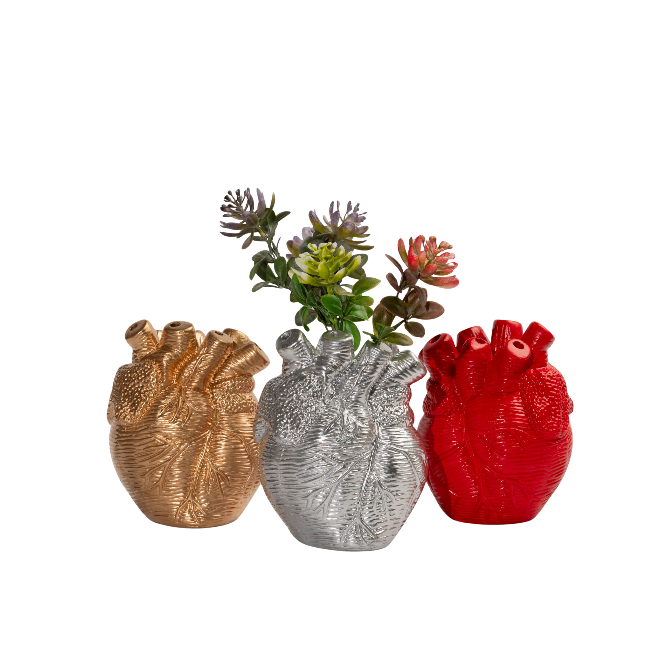 Corazón Orgánico Grande