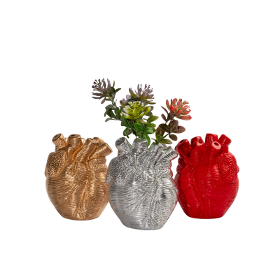 Corazón Orgánico Grande