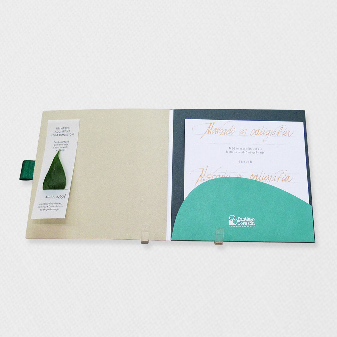 Bono de Toda Ocasión en sobre con siembra de árbol