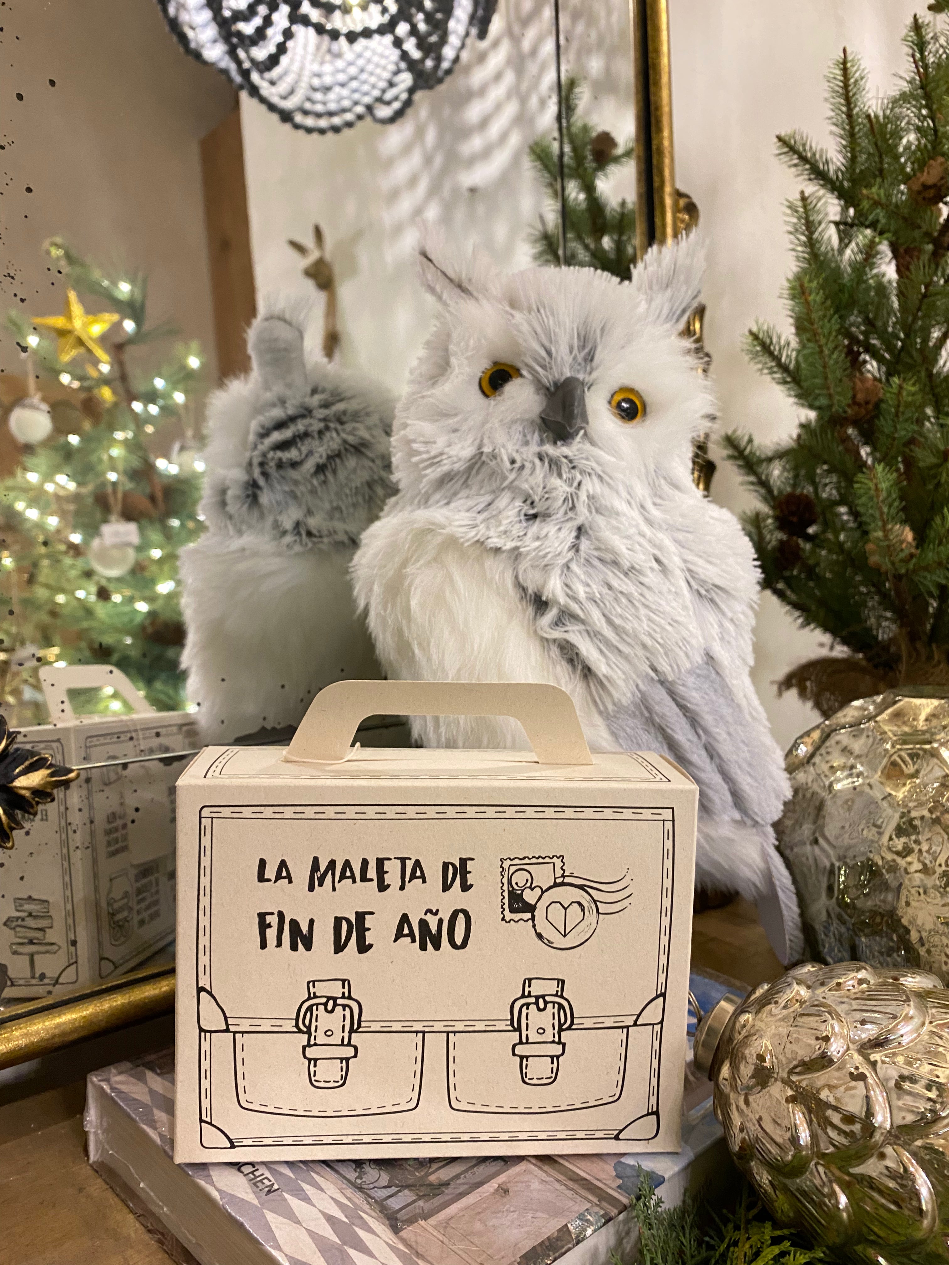 Maleta de Año Viejo