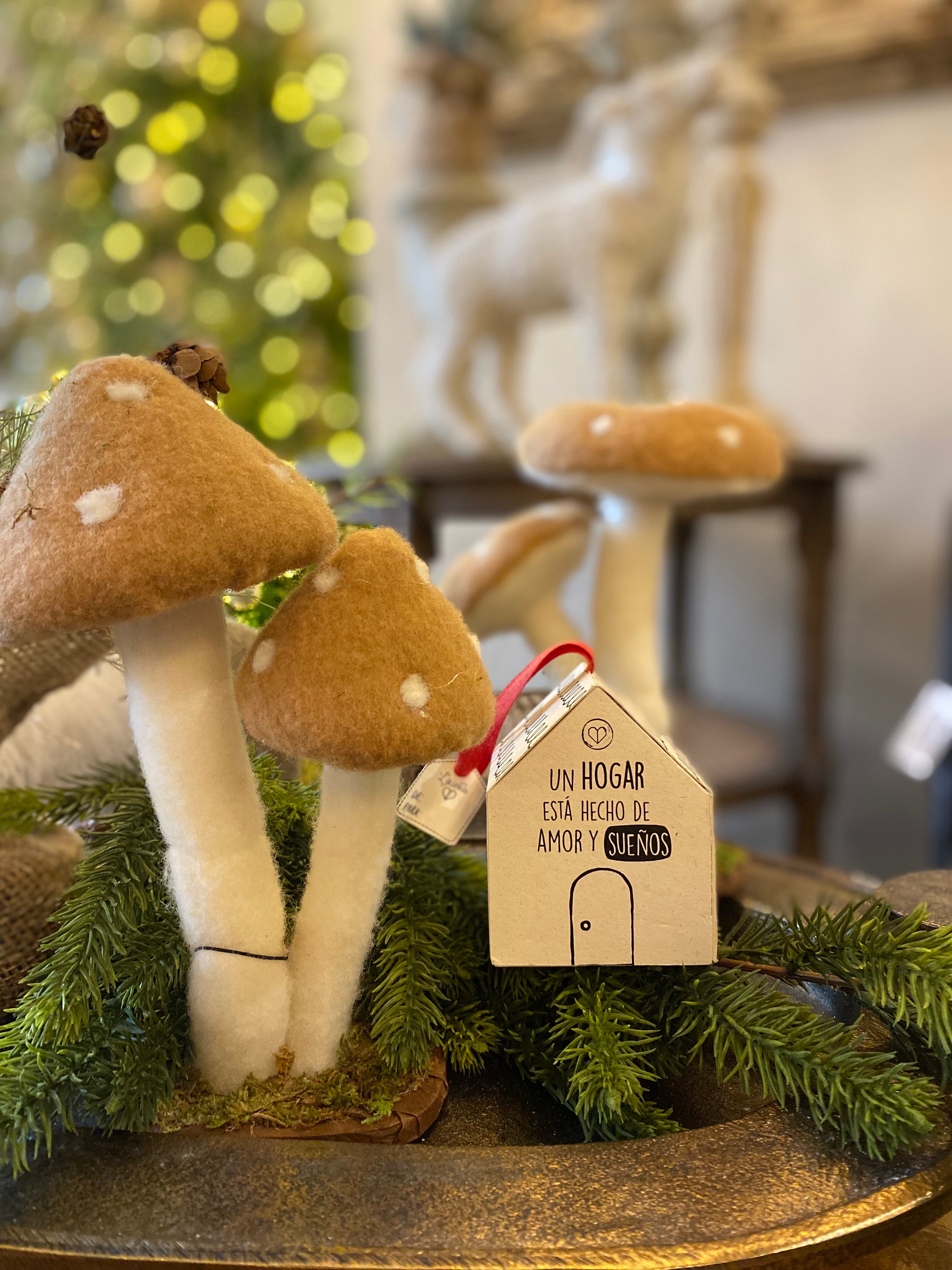 Casita de los sueños