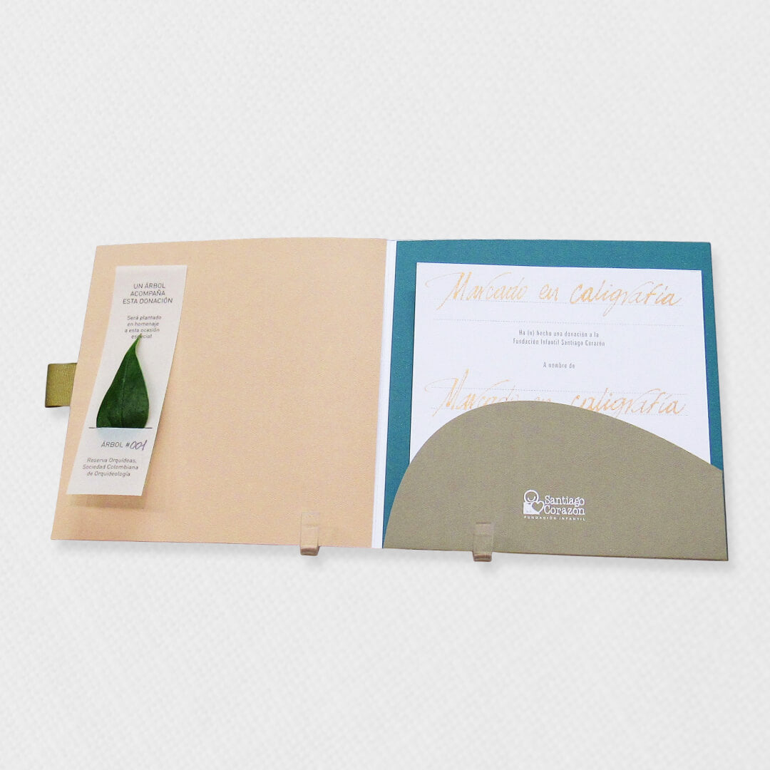 Bono de Toda Ocasión en sobre con siembra de árbol