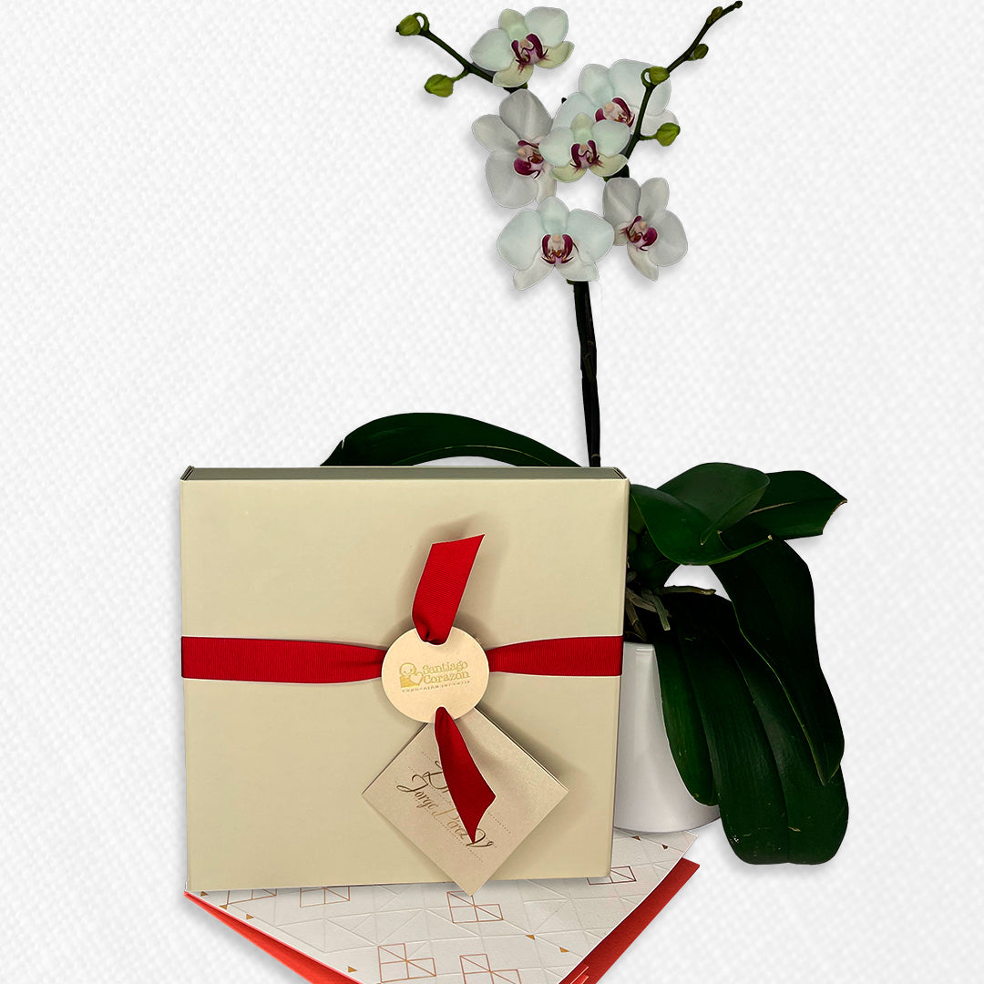 Bono de Pésame en caja y planta en matera