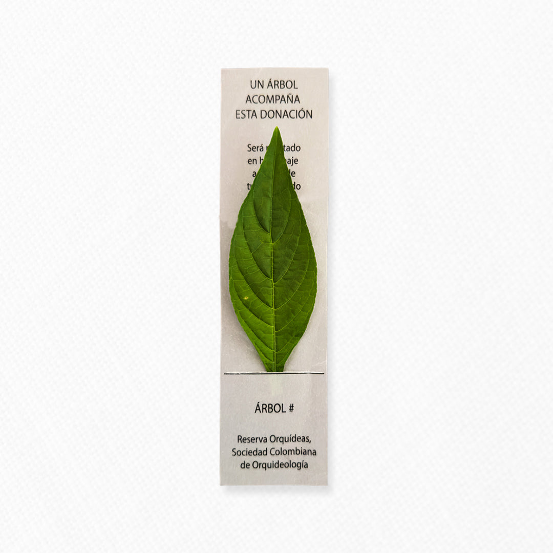 Tarjeta de siembra de árbol