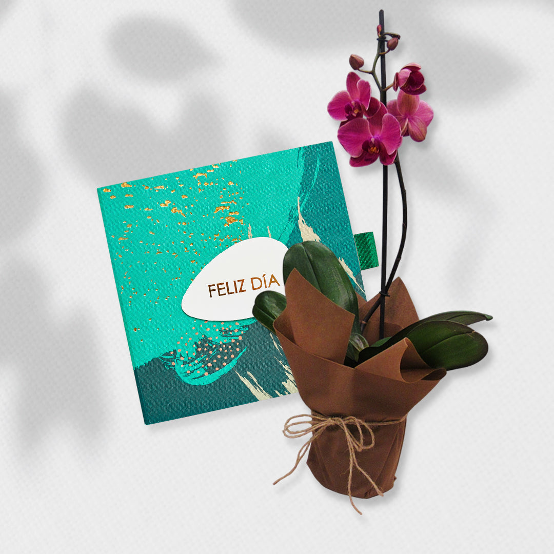 Bono de Toda Ocasión en sobre y planta