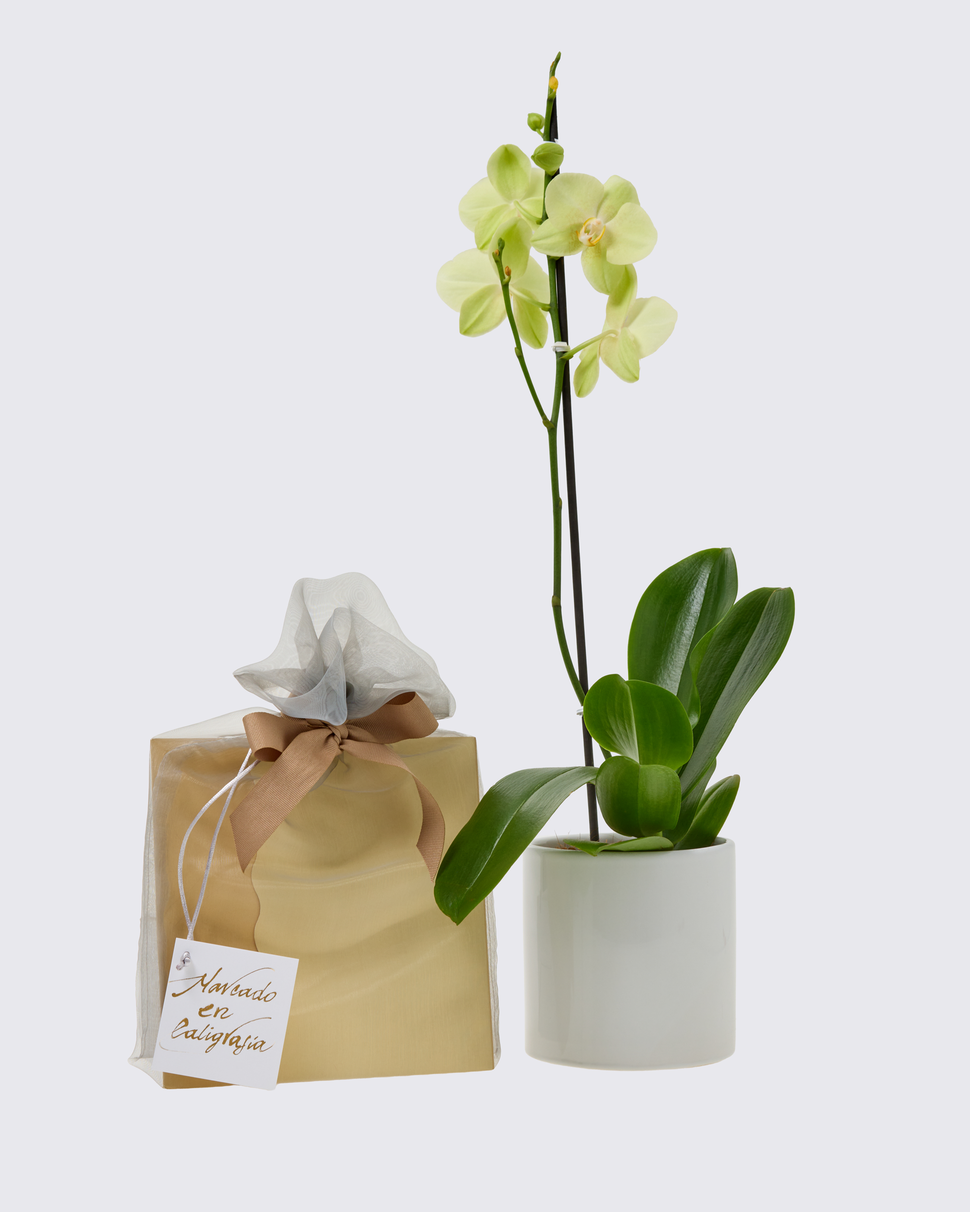 Bono en Bolsa de organza con orquídea