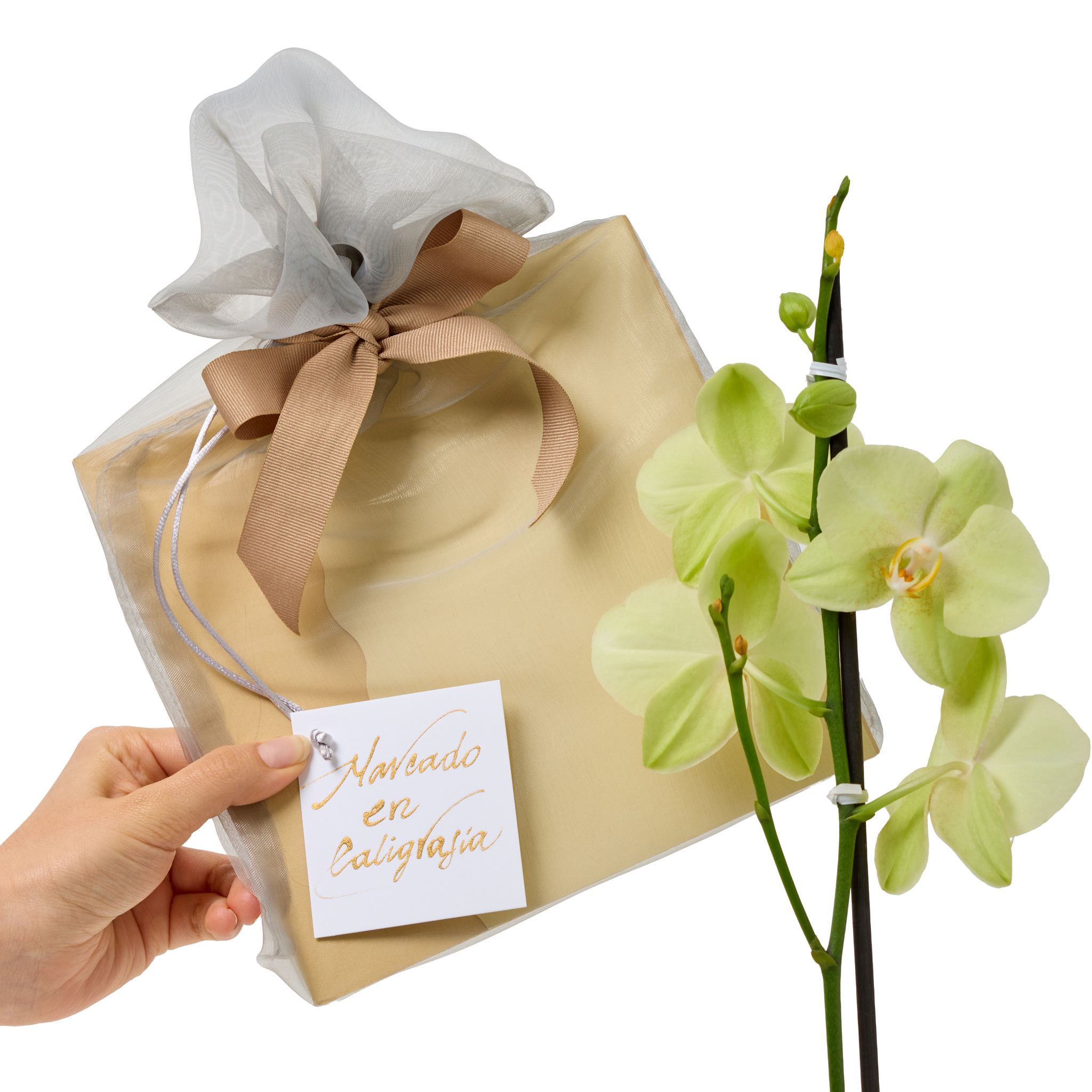 Bono en Bolsa de organza con orquídea
