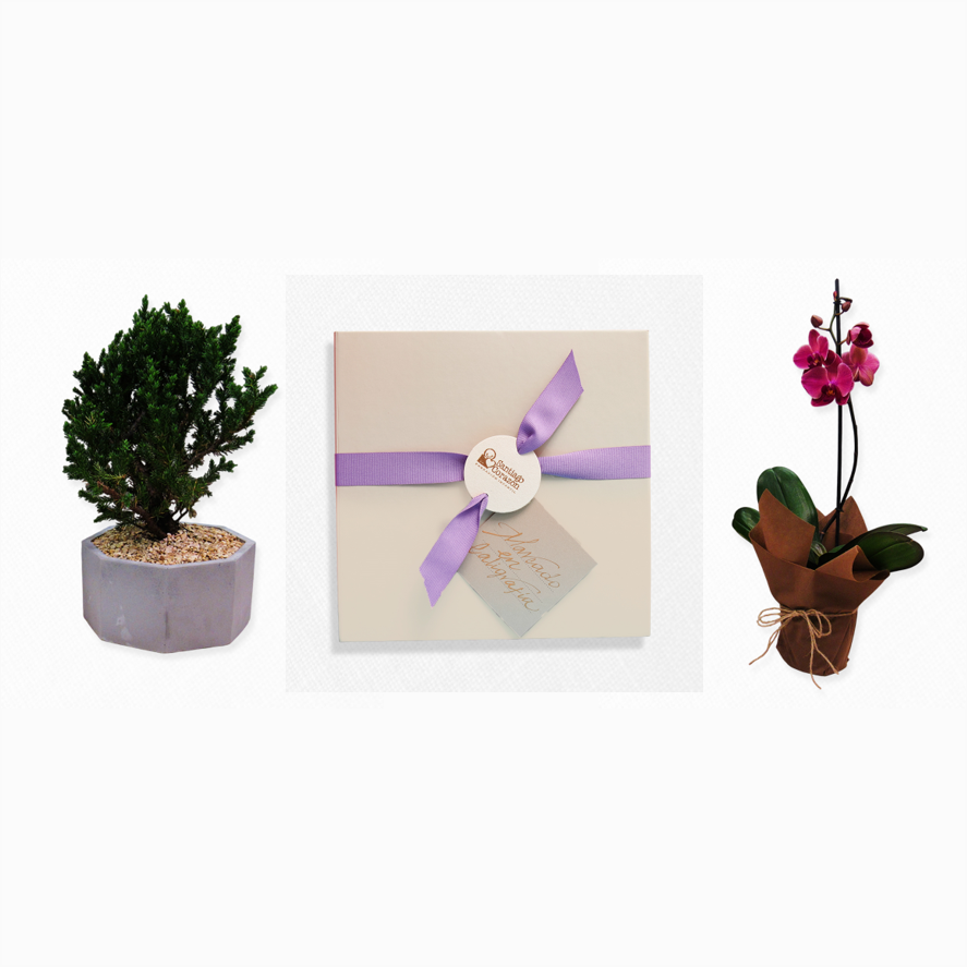Bono de Pésame en caja y planta
