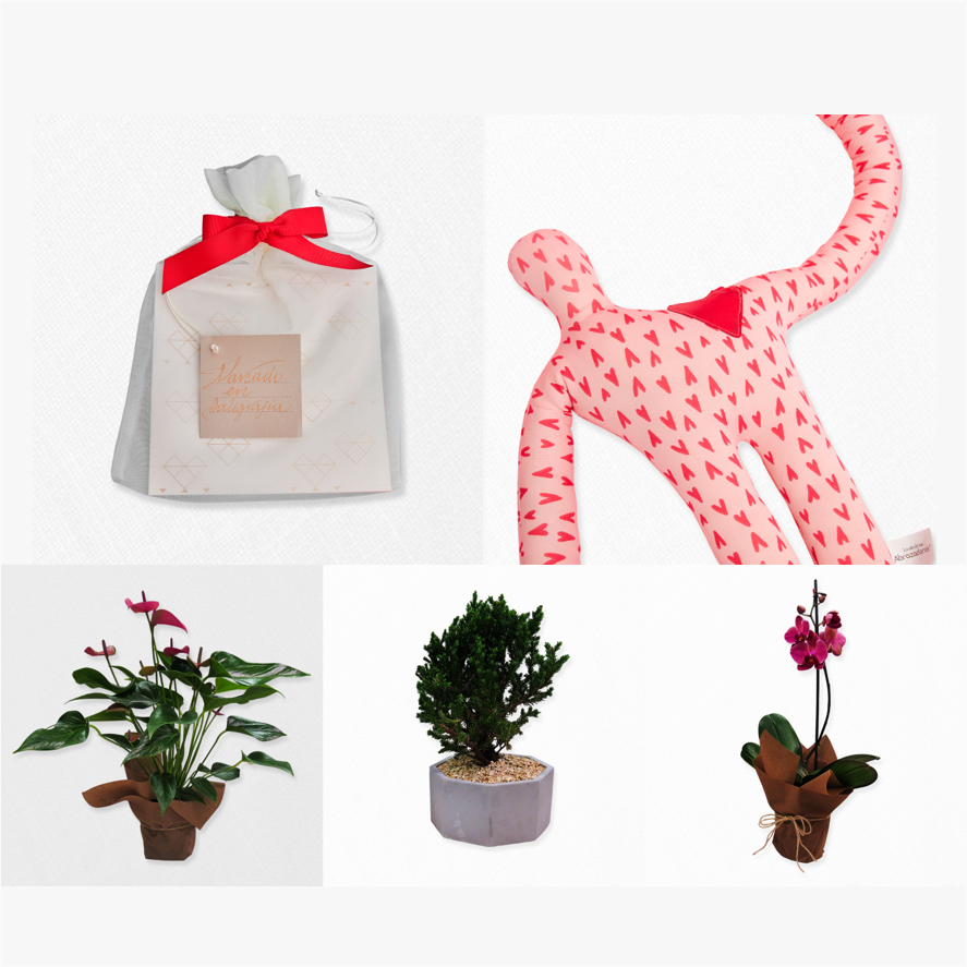 Bono de Pésame en bolsa de tela de organza, planta y Abrazador