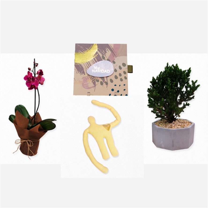 Bono de Toda Ocasión en sobre, planta y Abrazador