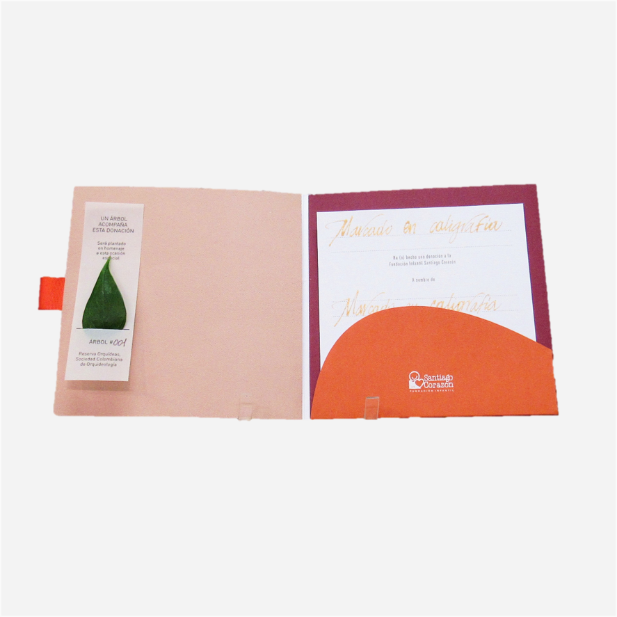Bono de Toda Ocasión en sobre con siembra de árbol