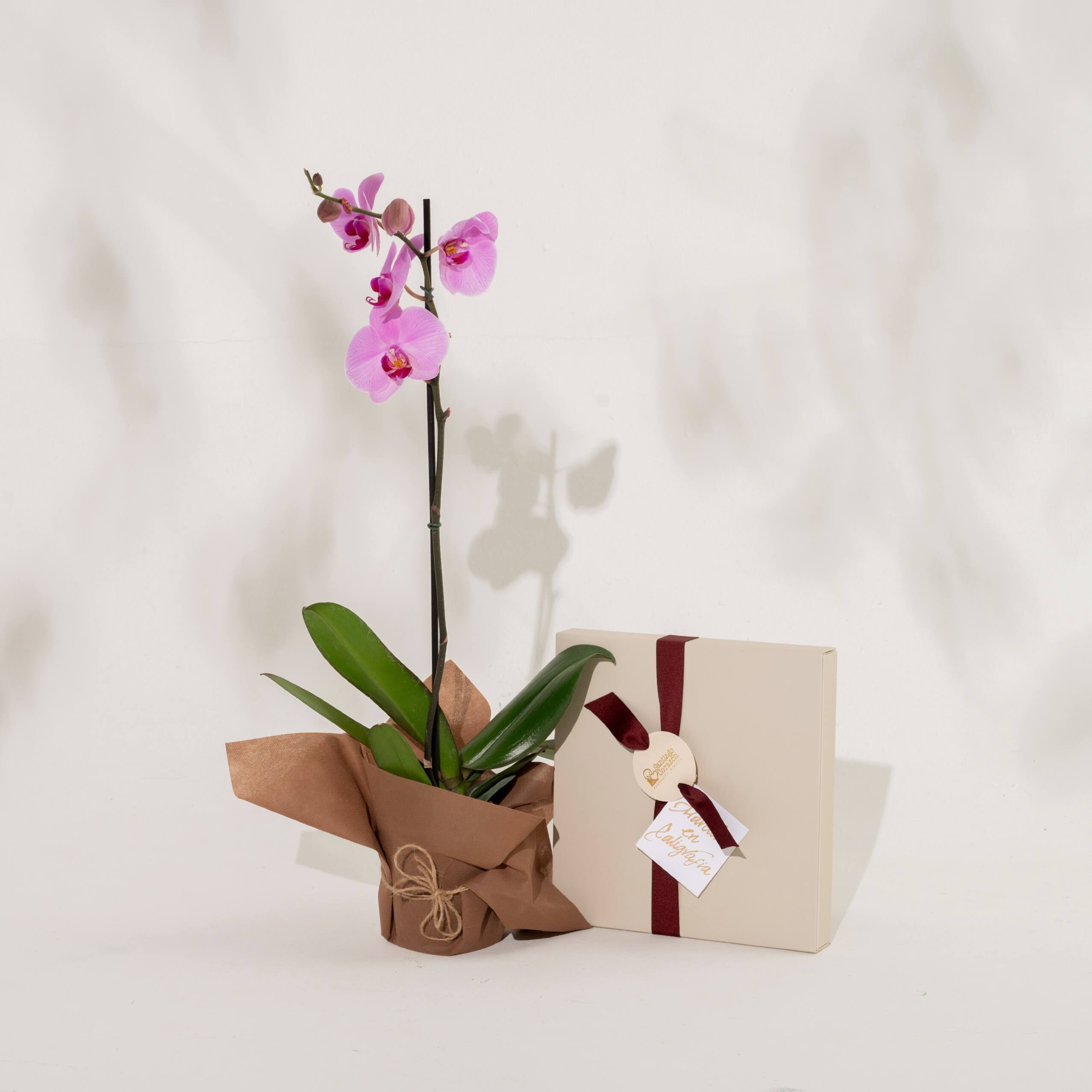 Bono de Pésame en caja con pétalos 2025 con Orquídea