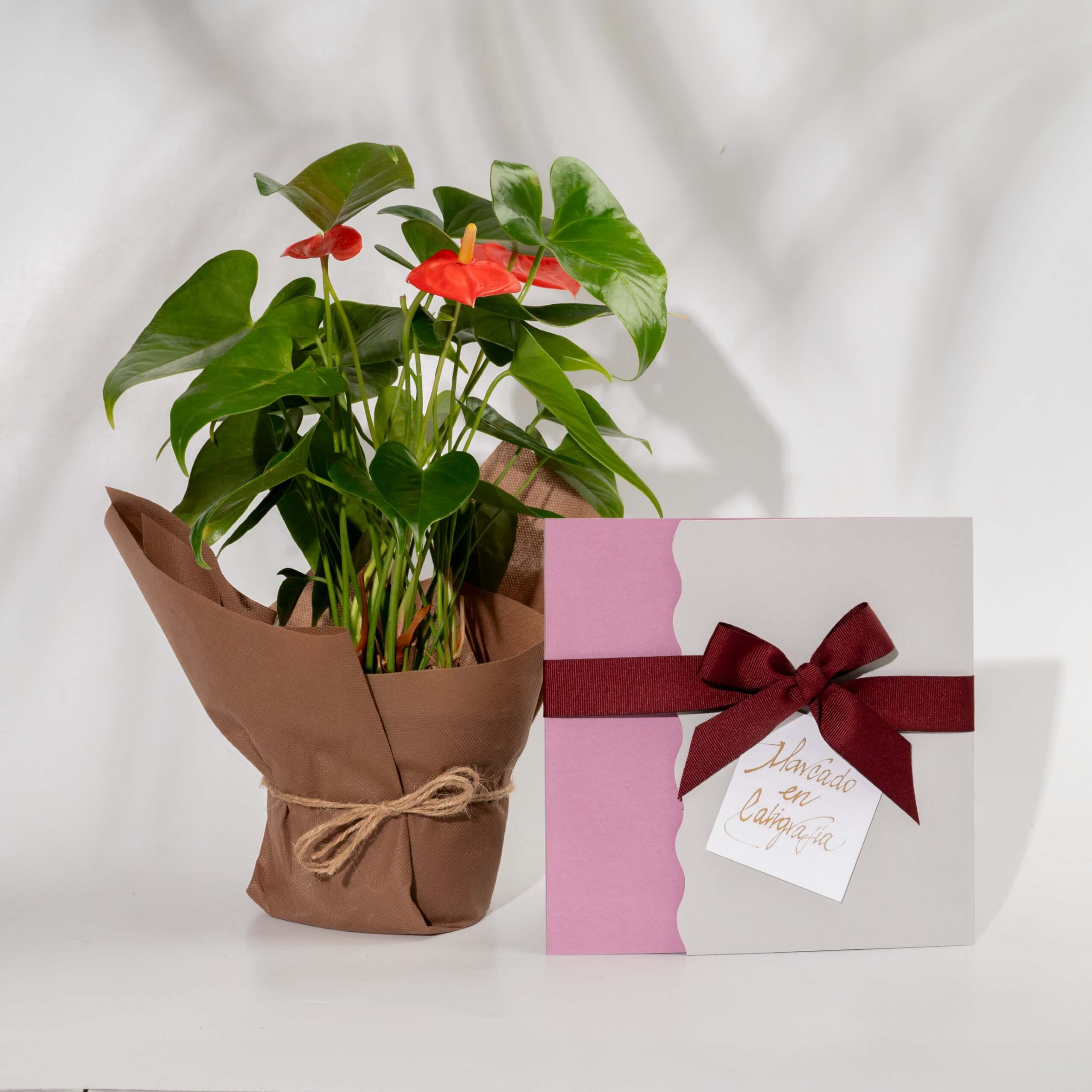 Bono de Pésame en sobre 2025 con Anturio