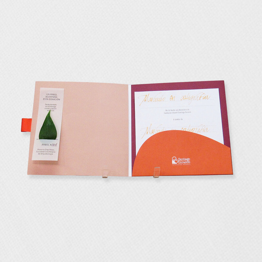 Bono de Toda Ocasión en sobre con siembra de árbol