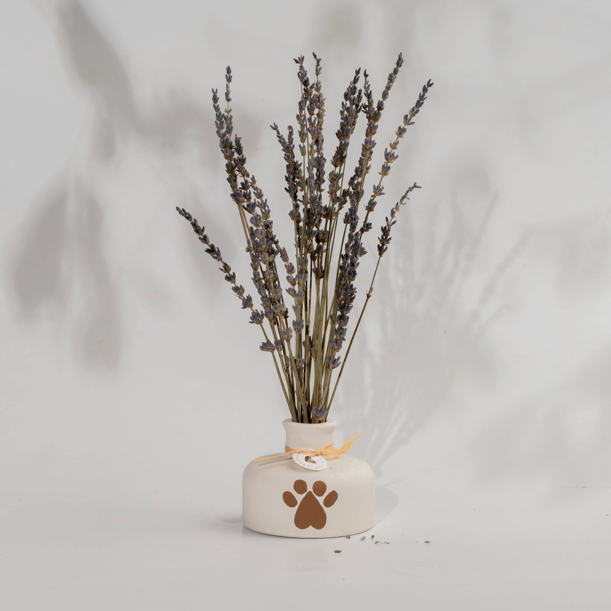 Vela Jarrón Mascota