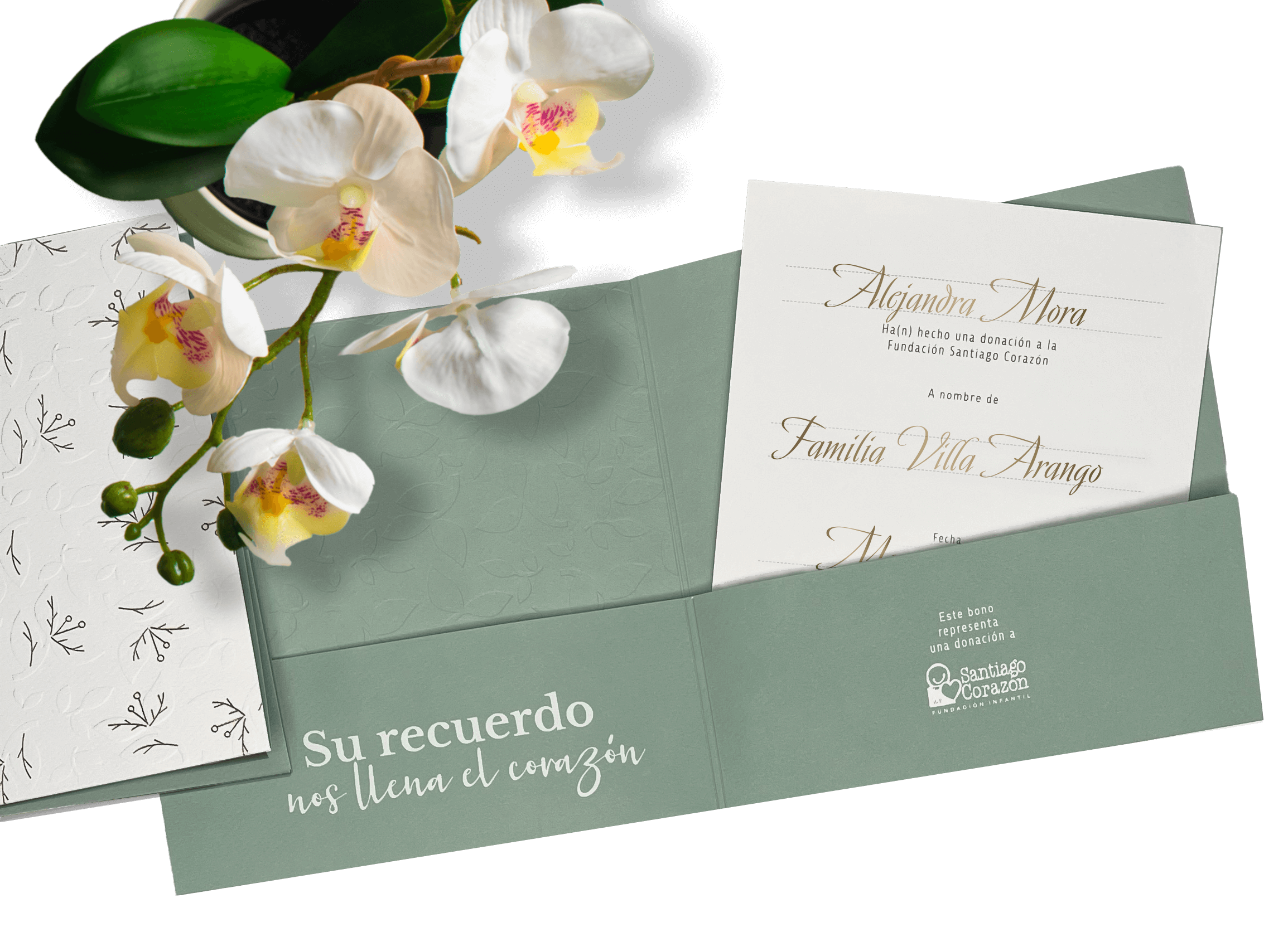 Bono de Pésame en bolsa de tela de organza y planta