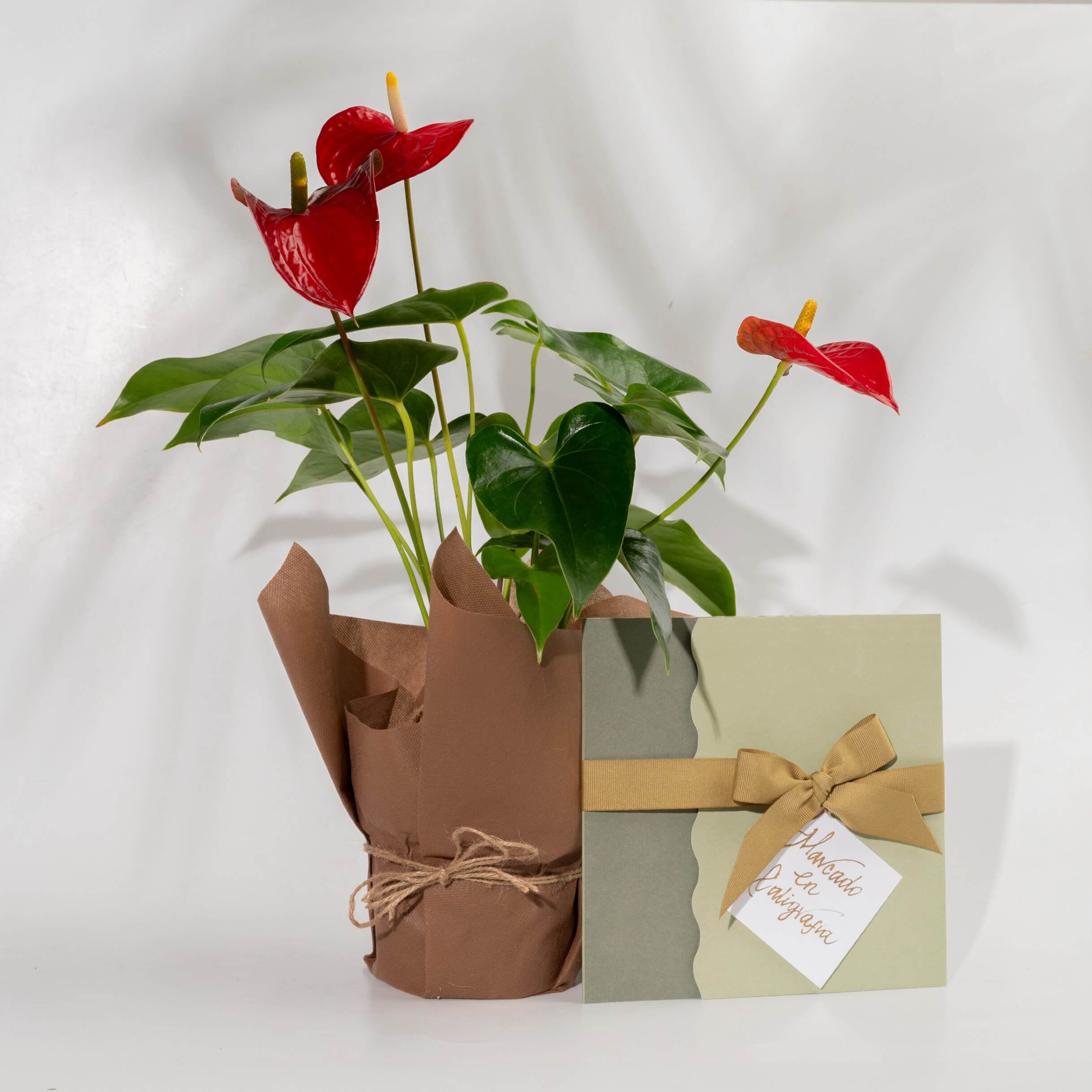 Bono de Pésame en sobre 2025 con Anturio