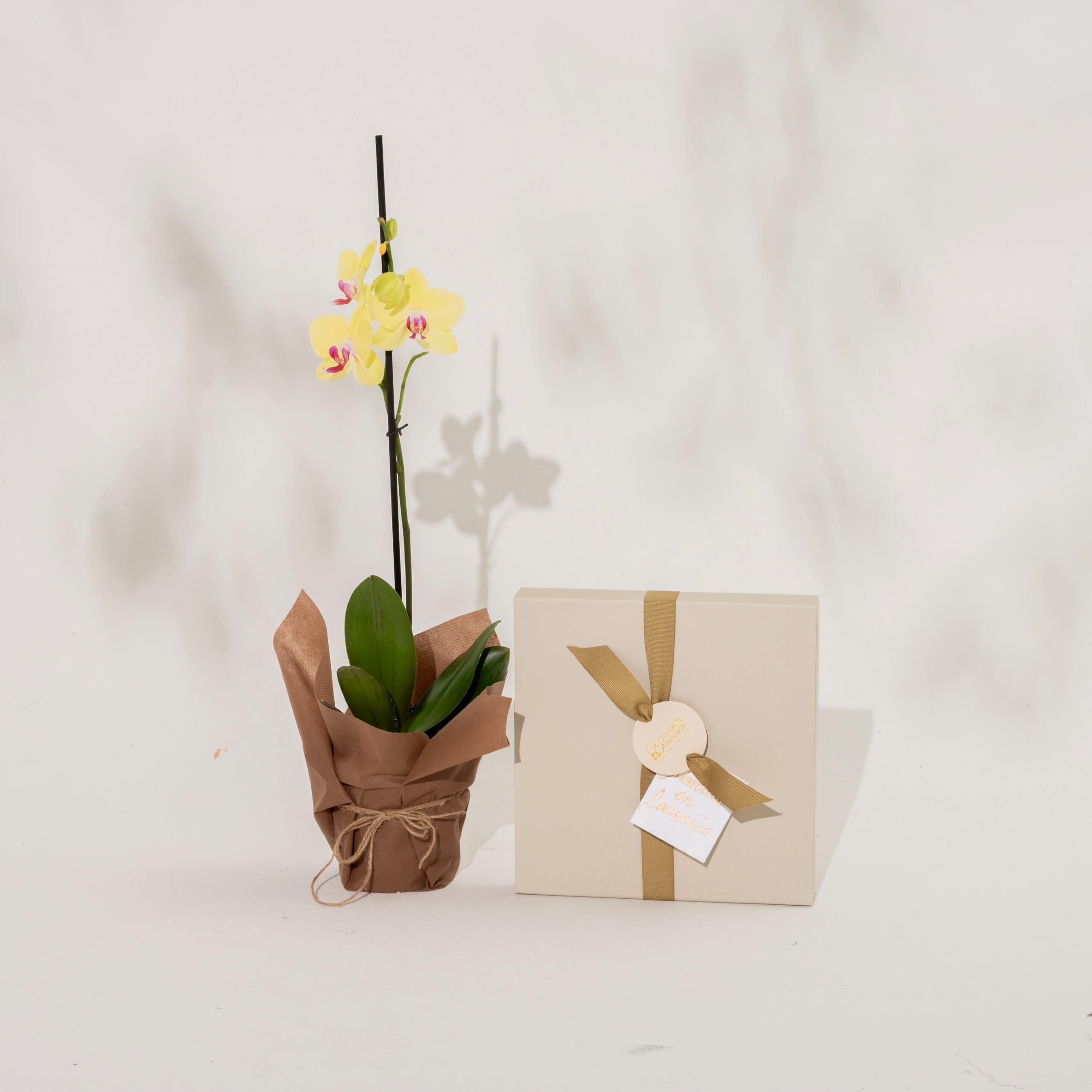 Bono de Pésame en caja con pétalos 2025 con Orquídea