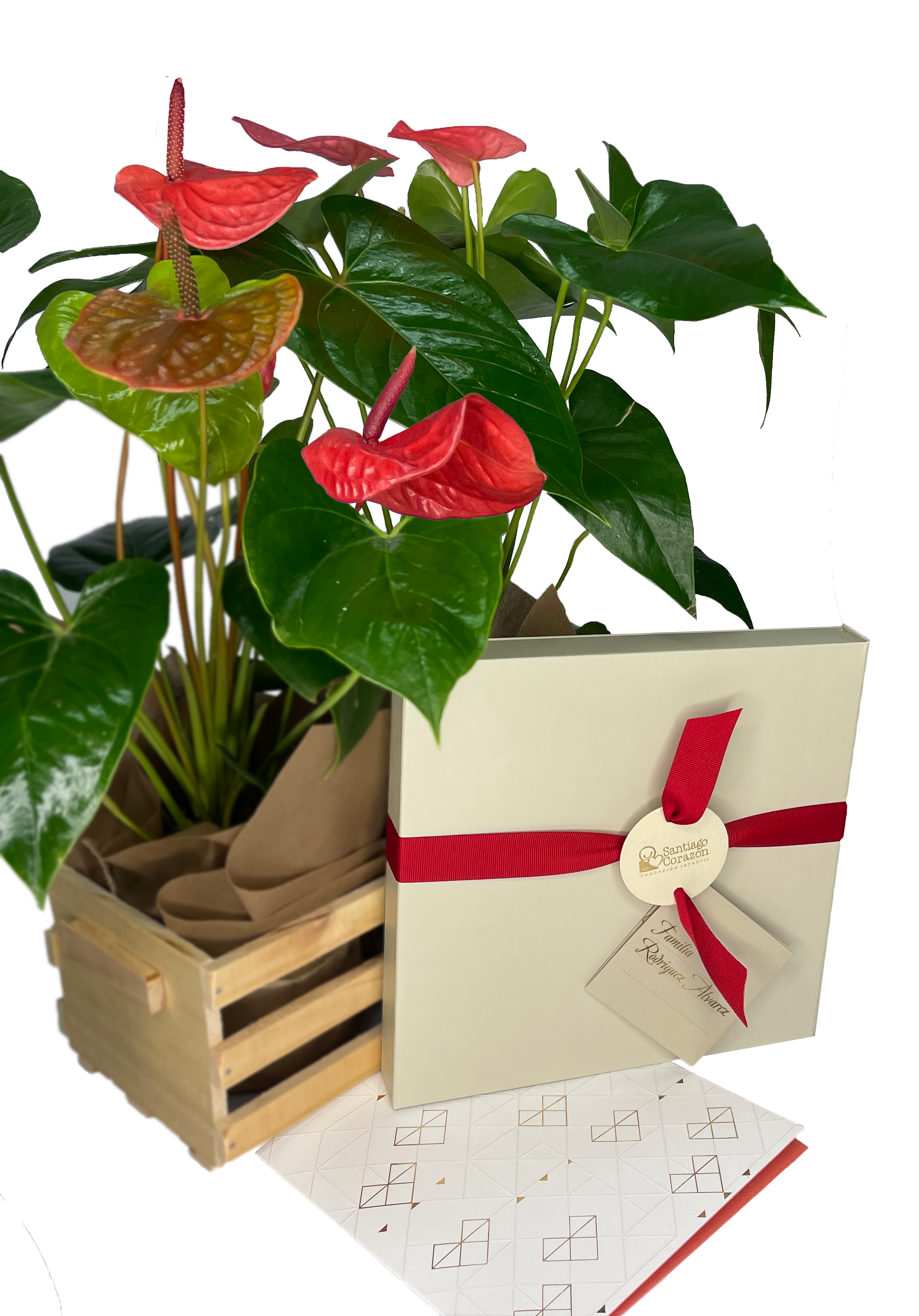 Bono de Pésame en caja y dos plantas en contenedor de madera
