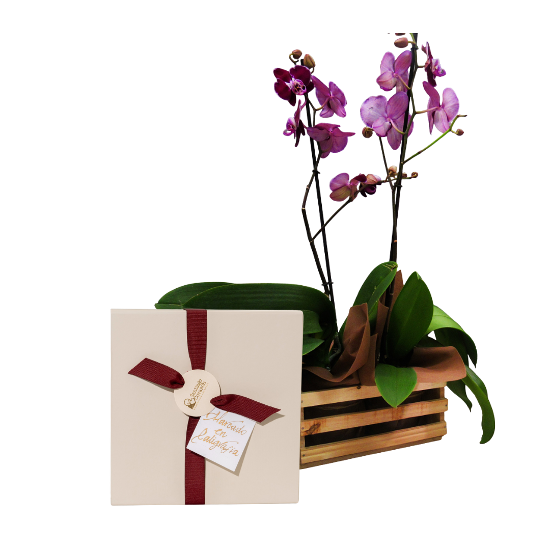 Bono de Pésame con dos orquídeas